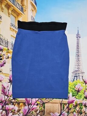 BCBGMaxazria Blue Pencil Skirt Size Small NWT